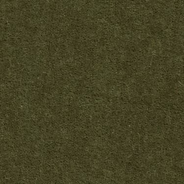 Mohair in Skog